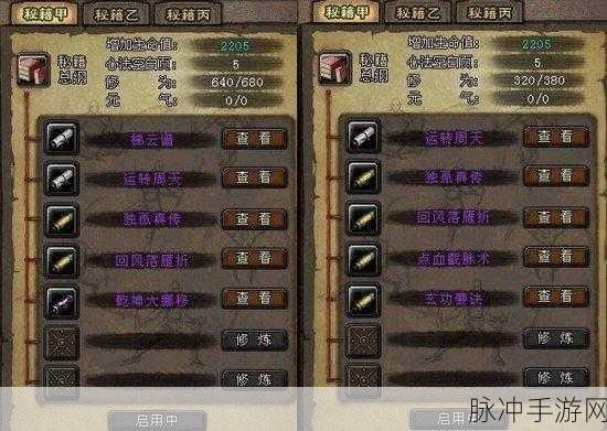 大唐无双2单挑职业：大唐无双2：单挑职业解析与最佳玩法指南