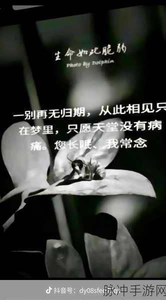 韩国兄弟的母亲最经典的一句：“无论你走到哪里，记得永远是我的孩子。”