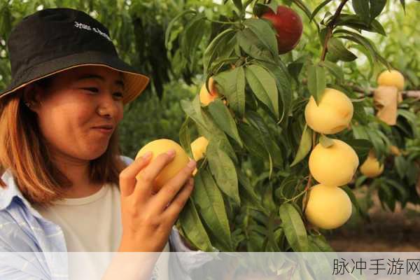 蜜桃频道：拓展蜜桃频道，让更多人享受甜蜜生活的乐趣与分享。