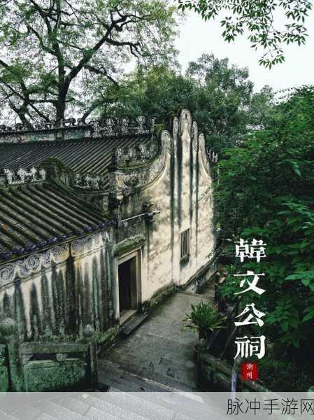 羞羞视频在线观看—首页进入：探索羞羞视频在线观看的精彩内容与使用指南，尽享视听盛宴。