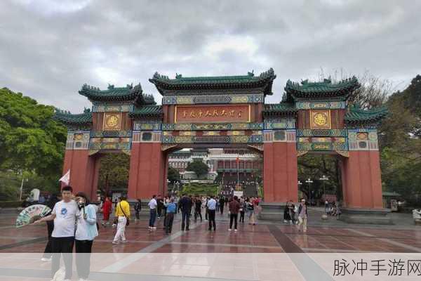 污污下载：在数字时代，探索污污下载的无限魅力与乐趣