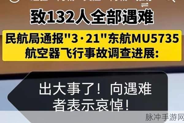 东航坠机最新消息：东航坠机事故最新进展：调查组深入分析原因与后续措施