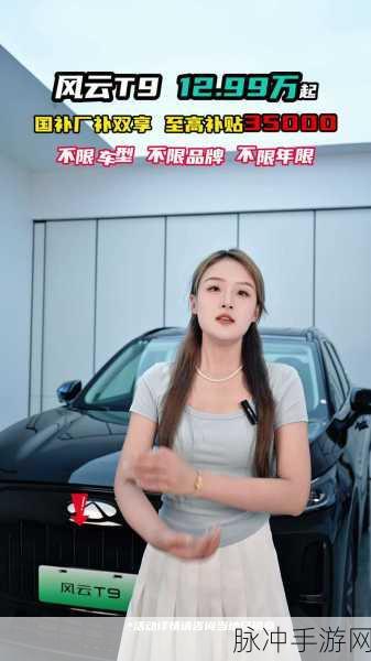 99精产三产区区别在线观看：深入解析99精产三产区的区别与特点，在线观看了解更多信息。