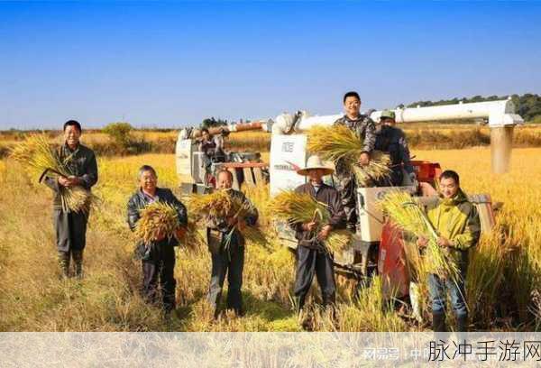 麻豆产精国品一二三产区区农民：探索麻豆产精国品一二三产区的农民发展之路