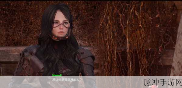 辐射4更新：辐射4：重返废土的冒险与探索新篇章