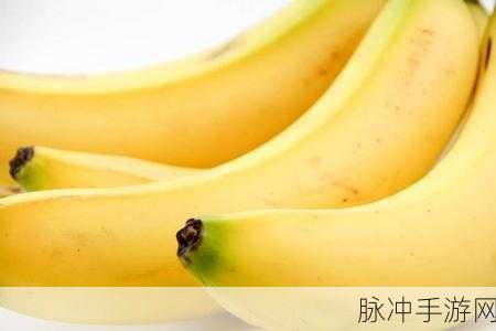 午夜香蕉视频：午夜香蕉视频：探索夜间趣味与惊喜的视界