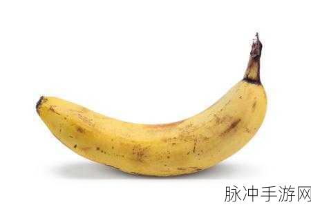 午夜香蕉视频：午夜香蕉视频：探索夜间趣味与惊喜的视界