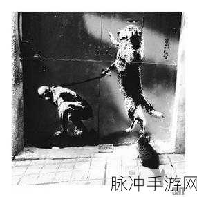 黑料社511.0：探索黑料社511.0：揭秘不为人知的内幕与故事