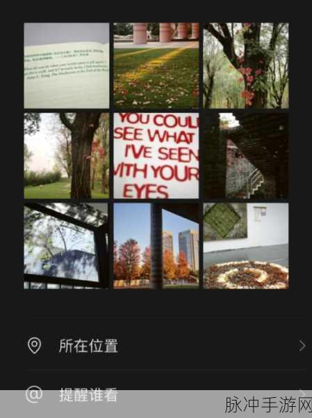蘑菇视频红色logo纯黑色背景：“探索无限创意，蘑菇视频开启你的视界之旅！”