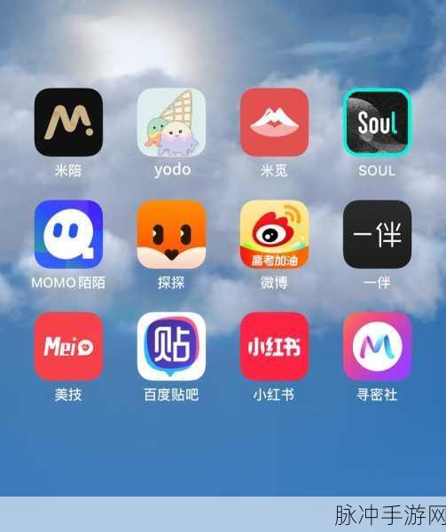 吃快餐的交友app：美食交友：快餐爱好者的社交新平台
