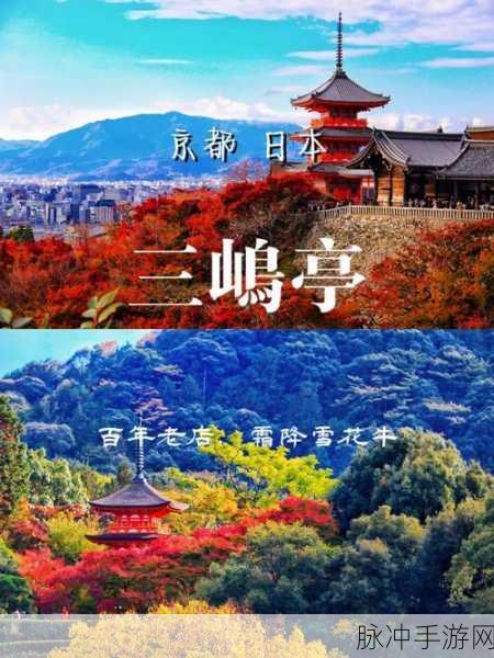 日本bgm啦啦啦啦：在悠扬旋律中漫游日本，感受快乐与梦想的交融