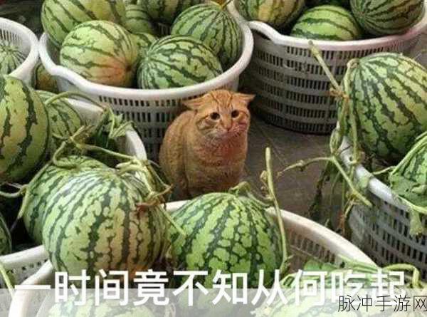 波多野结衣51吃瓜：波多野结衣51新作曝光，吃瓜群众热议不止！