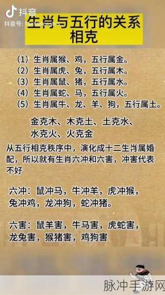 巧取三五和九数正确答案生肖：巧取三五与九数之谜：揭示生肖背后的秘密与智慧