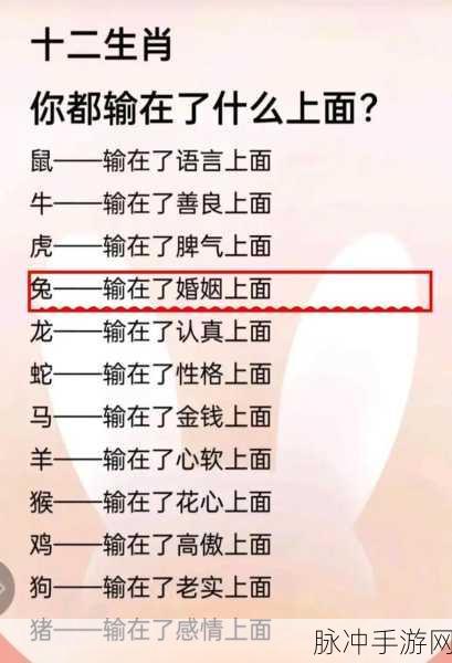 巧取三五和九数正确答案生肖：巧取三五与九数之谜：揭示生肖背后的秘密与智慧
