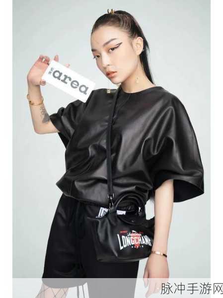 中国大陆女人RAPPER：中国大陆女性RAPPER崛起：展现多元文化与自我表达的新风潮