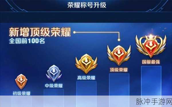 段位传承王者27：传承王者之路：从拓展段位到辉煌巅峰