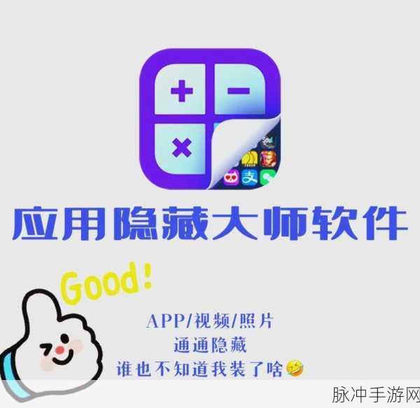 福建菠萝导航隐藏APP入口：福建菠萝导航APP入口隐藏功能的详细拓展与使用指南