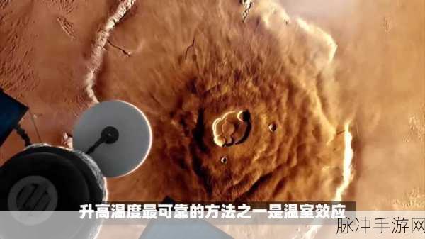 17c草：“探索17c草的潜在应用与生态功能”