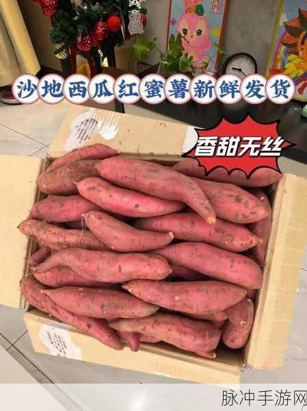 交videos老少：老少皆宜的精彩视频，带你感受不同世代的魅力与乐趣！