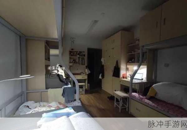 大学宿舍506寝室灯灭了以后：“大学宿舍506寝室灯光熄灭后的奇妙夜晚”