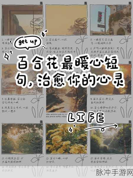 百合游戏：绽放心灵之花：百合恋爱的奇妙旅程