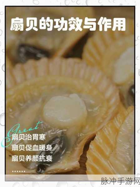 一个 上面 下感扇贝：探寻海底奥秘：上面下感扇贝的生存智慧与生态价值