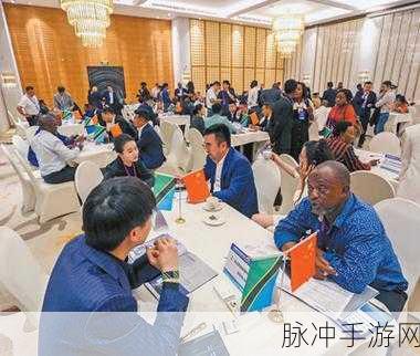 双胞胎姐妹齐上阵许多人物：双胞胎姐妹齐心协力，携手应对众多挑战与人物故事