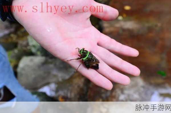 啦啦啦大豆行情网51的功能介绍：拓展啦啦啦大豆行情网51的多元化功能与服务介绍