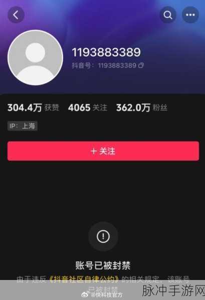 九幺高危风险9.1抖音：深入分析九幺高危风险：抖音平台的安全隐患与应对策略