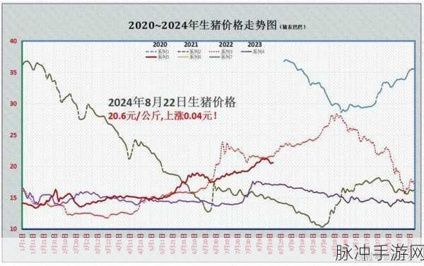 免费观看行情九幺：全面解析九幺行情走势，免费获取实时数据！