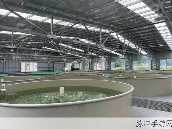 成为虫子的产卵工具：创新设计：拓展虫子产卵工具，助力生态养殖