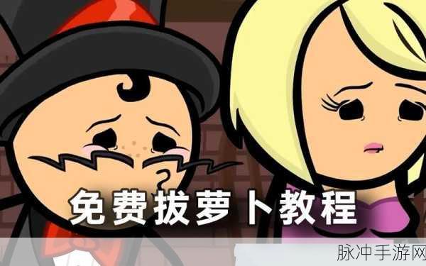 拔萝卜打扑克不盖被子：“拔萝卜与打扑克：不盖被子的趣味生活”