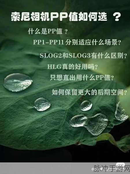 我爱搞-52G.PP：热爱创意与娱乐，52G.PP带你畅游无限可能！