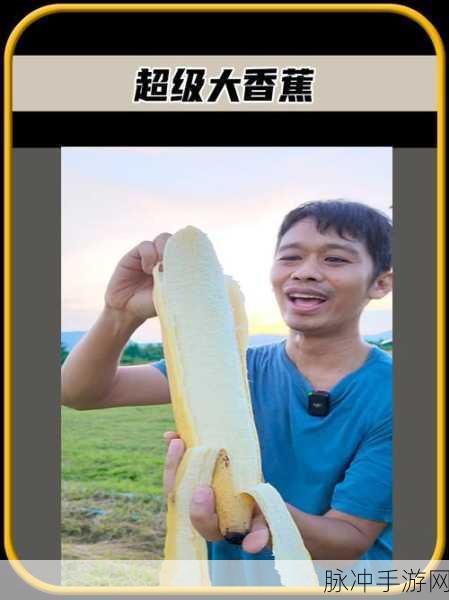 香蕉视频免费看：免费观看香蕉拓展视频，尽享精彩内容不容错过！