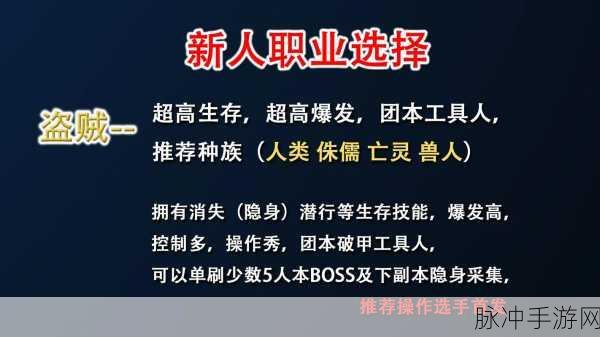 魔兽世界里什么职业操作简单：《魔兽世界》中适合新手的简单操作职业推荐与分析