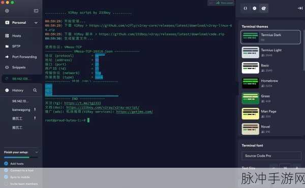 高清vpswindows69：高性能高清VPS服务，满足您的Windows应用需求！