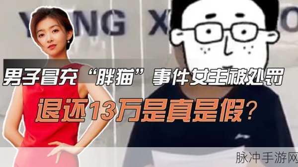 黑料不打烊热点胖猫：胖猫黑料不打烊：揭秘娱乐圈背后的秘密与真相