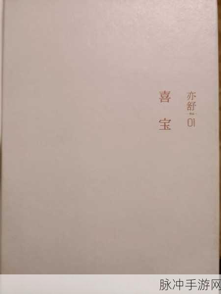 林喜宝公交车(公交车中的林喜宝)：公交车上的林喜宝：生活中的温暖与感动
