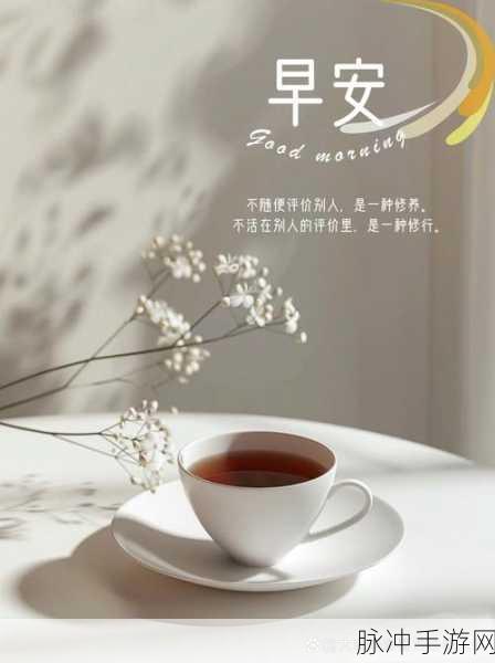 打扑克牌不盖被子：在温暖的夜晚，畅谈人生与打牌的乐趣