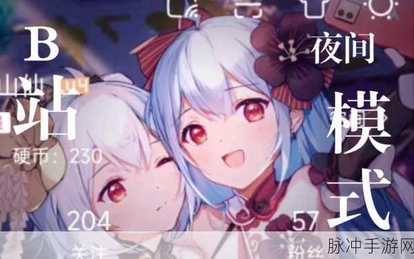 夜里18款禁用b站入App软件：夜间使用禁用B站的18款应用软件推荐与解析