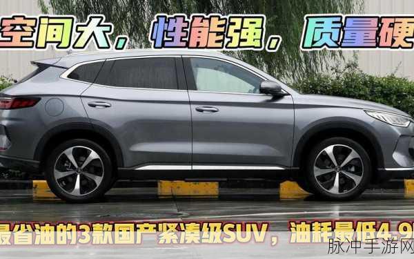 一级毛suv好看一国产免费：全新一级毛SUV亮相，国产品牌展现独特魅力与风格