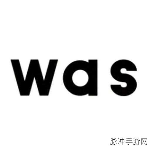 waswas美国入口：拓展Waswas品牌在美国市场的战略布局与发展潜力