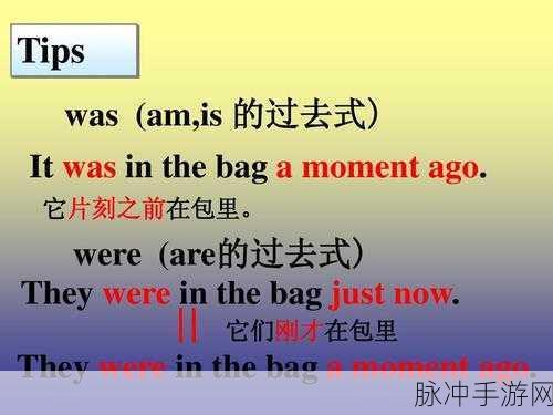 waswas美国入口：拓展Waswas品牌在美国市场的战略布局与发展潜力