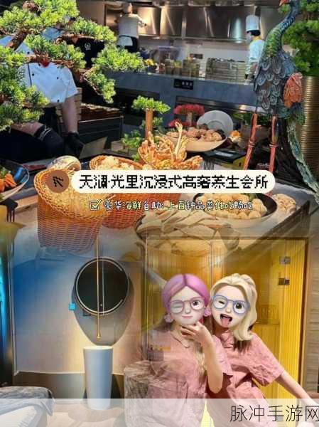 HD100鈥癡ideo：HD100高清影像，尽享震撼视听盛宴与极致体验