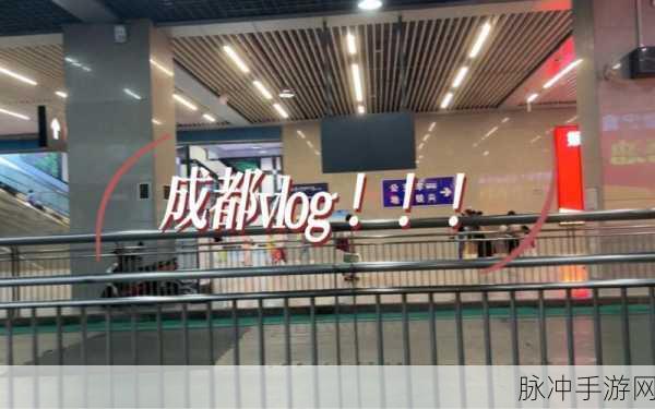 gogogo中国版观众反馈：Gogogo中国版观众反馈：热情无限，期待更多精彩内容！