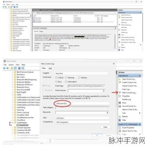 日本人windowsserver：日本人在Windows Server领域的拓展与应用研究分析