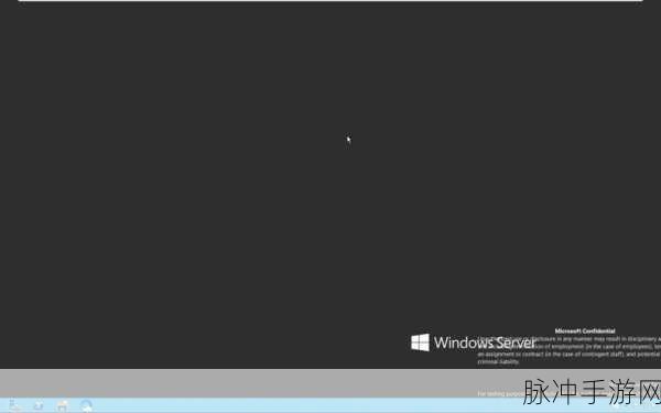 日本人windowsserver：日本人在Windows Server领域的拓展与应用研究分析