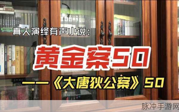 有声黄金网站app观看大全：全面解析有声黄金网站APP观看资源的丰富选择
