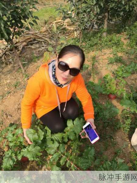 真人在床上拔萝卜：床上拔萝卜，探寻真实快乐的奇妙之旅