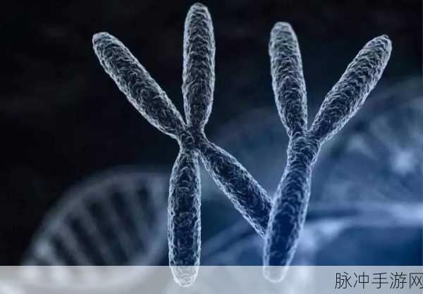 性别 自由 凸轮 管中国：探索性别多样性与自由表达在中国的现状与挑战